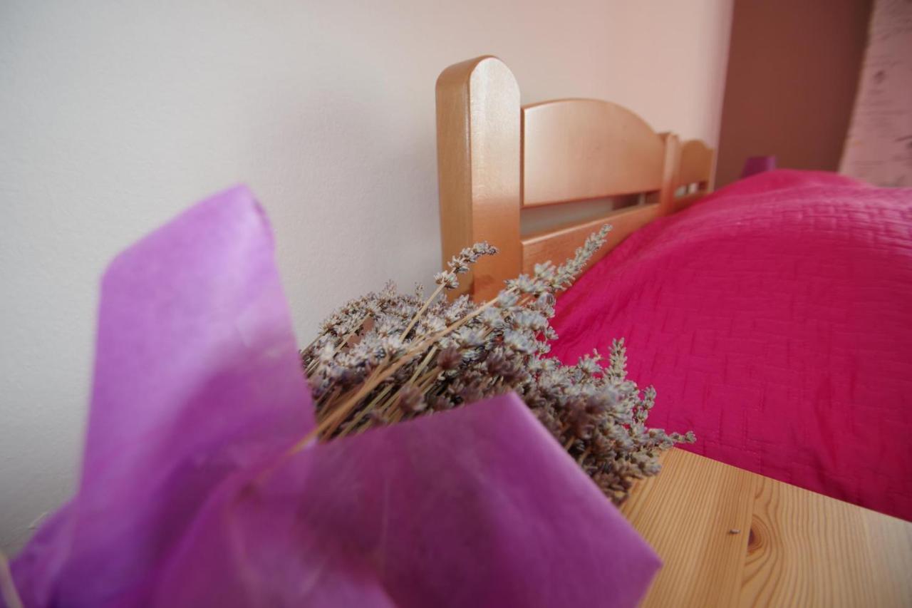 Apartment Suzi Valdebek Pula Extérieur photo